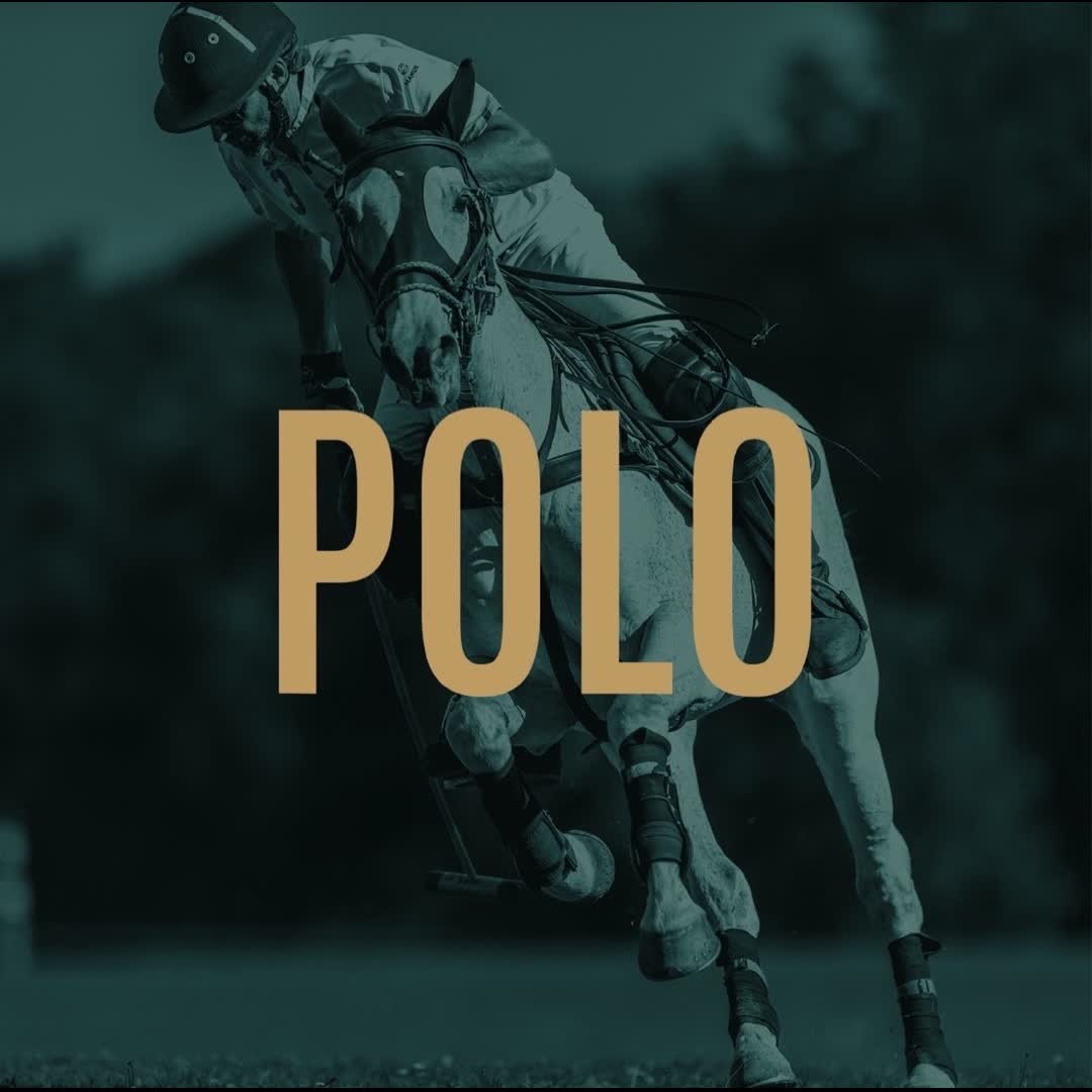 Post by Black Forest Polo: #BlackForest #BlackForestPolo #PoloSport #HorsePolo #PoloMatch #PoloPlayer #PoloPonies #LuxuryLifestyle...