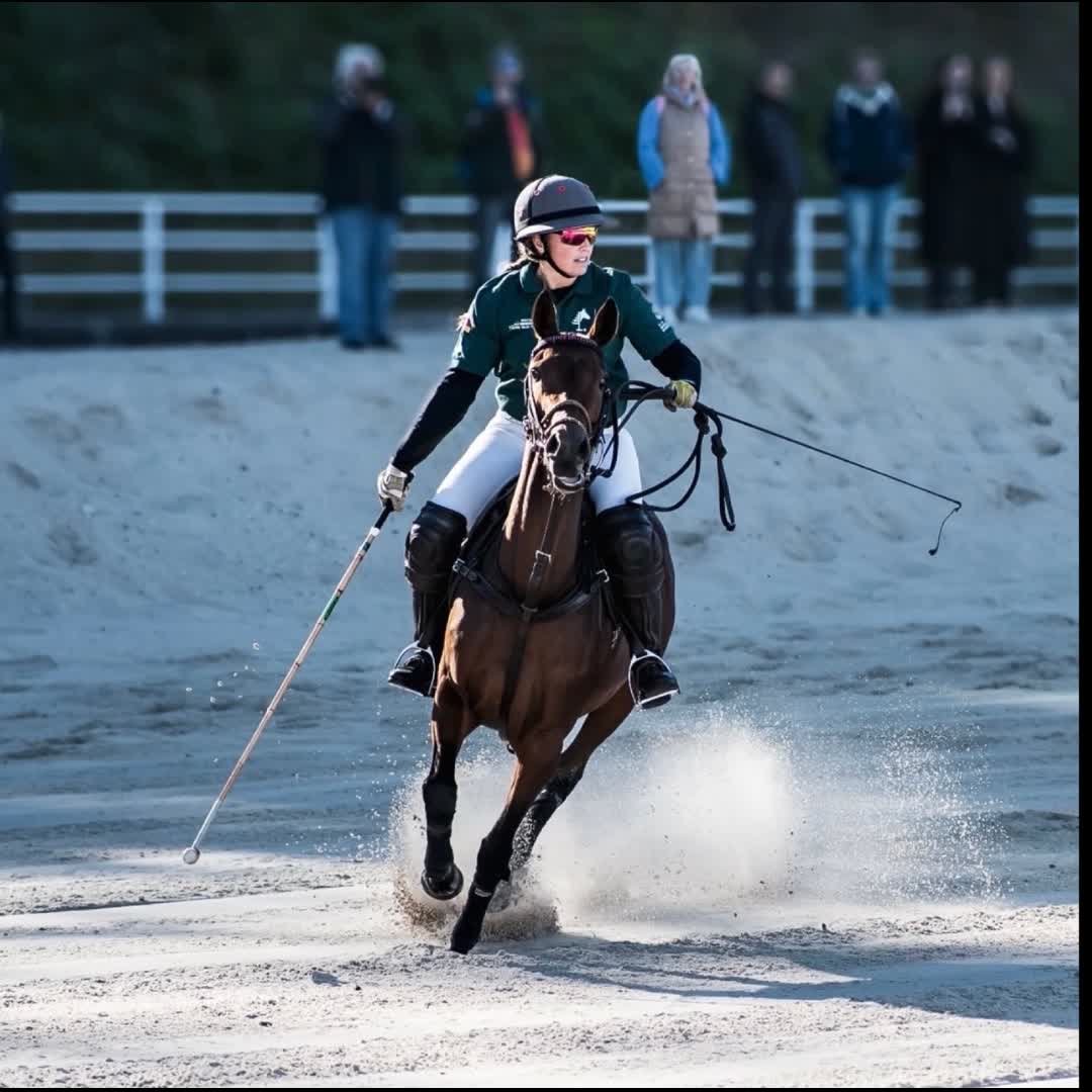 Post by Black Forest Polo: POLO VIBES #blackforestpolo #sportswear Link in Bio #bfpsport #betheone #lifestyle