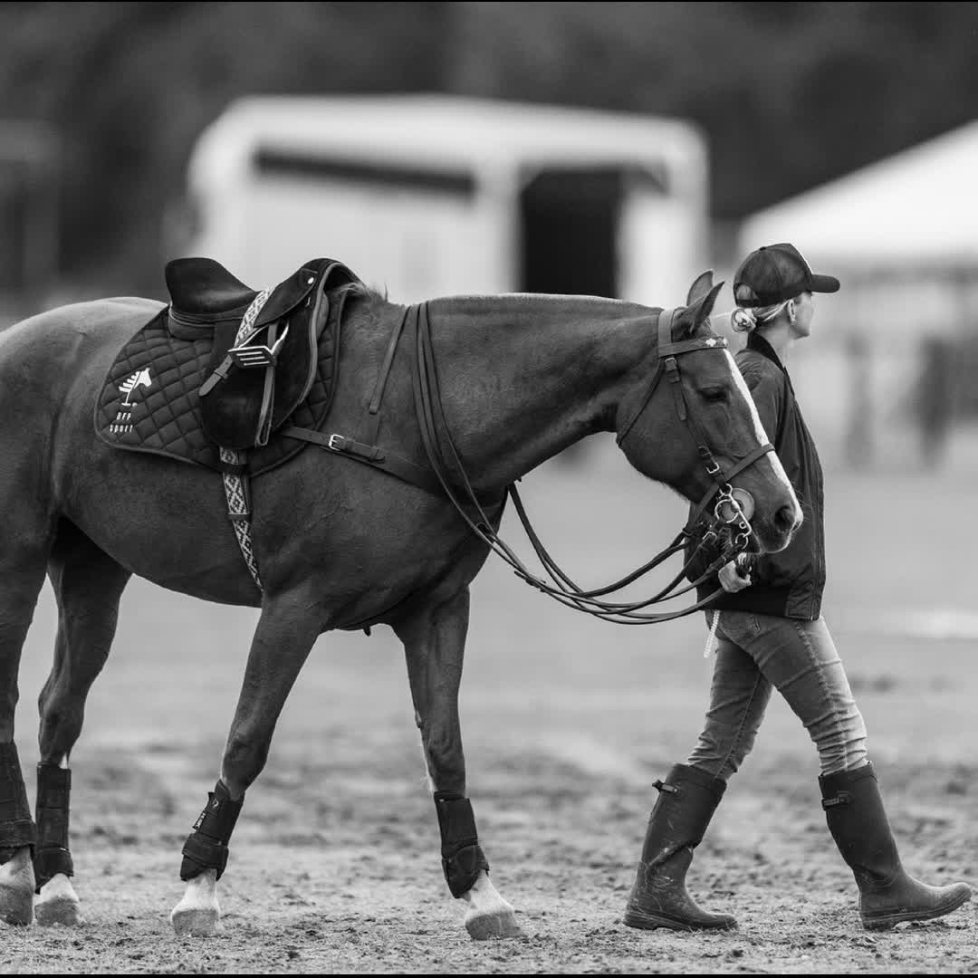 Post by Black Forest Polo: #sportstyle ON AND OFF THE FIELD🐎🤍😎 👉🏼 Link in Bio #blackforestpolo #bfpsport #betheone #style #sportlife...