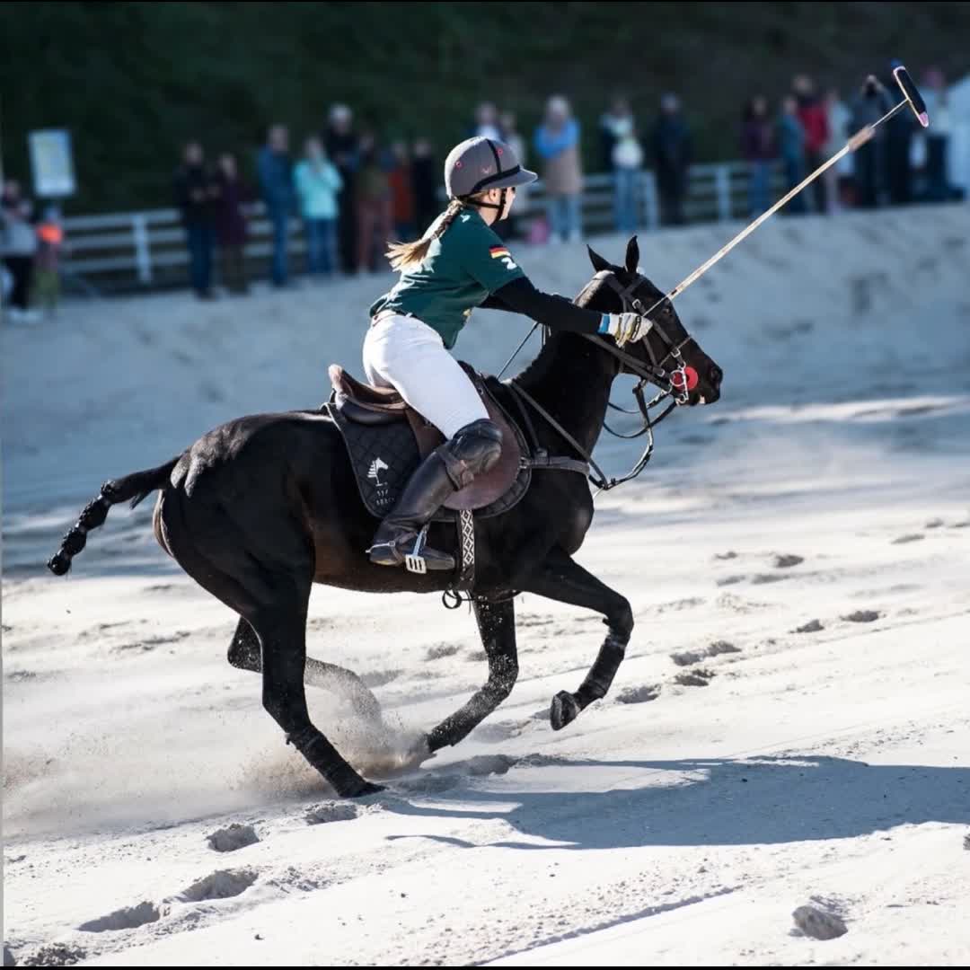 Post by Black Forest Polo: POLO VIBES🐎 #blackforestpolo #sportswear 👉🏼 Link in Bio #bfpsport #betheone #lifestyle