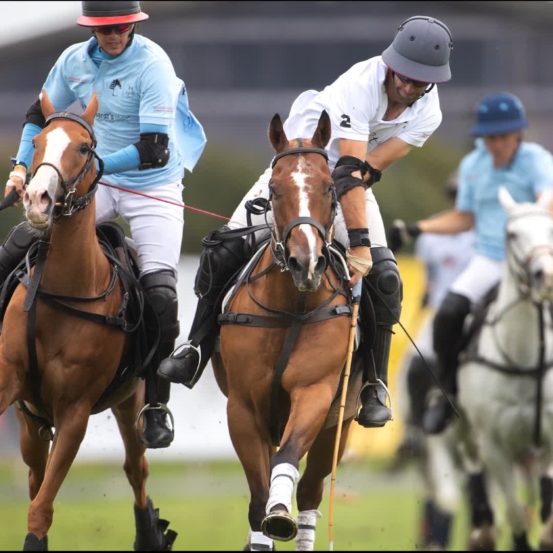 Post by Black Forest Polo: #sylt #syltlove #blackforestpolo #bfpsport #betheone #berenberggermanpolomasters