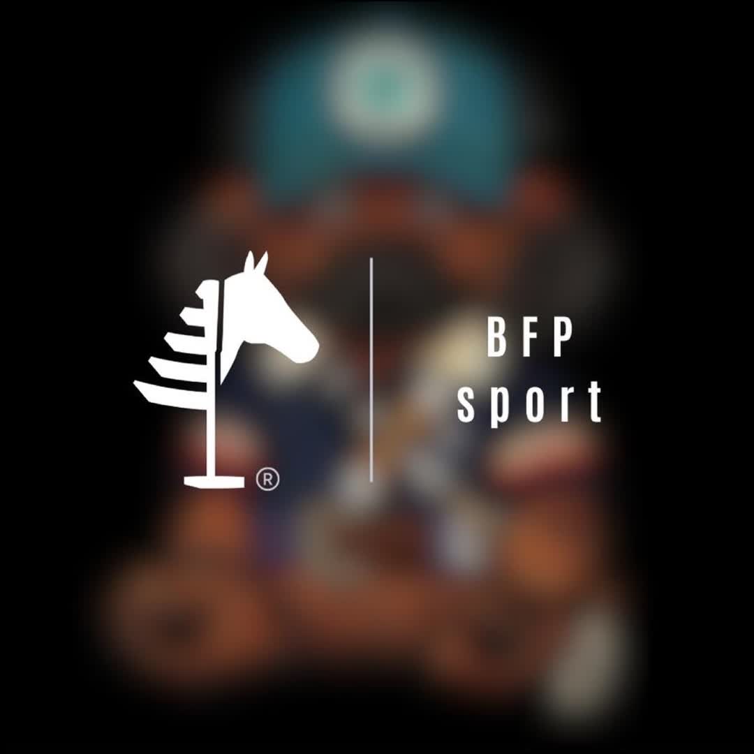 Post by Black Forest Polo: #comingsoon #blackforestpolodog #blackforestpolo #bfpsport #betheone