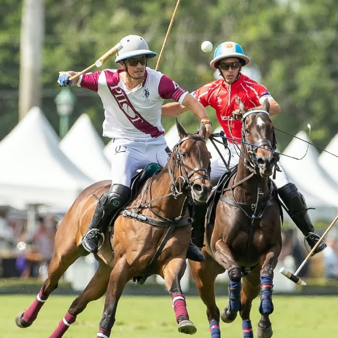 Post by Polo King: Anyone love polo Sports?? #buzzer #viral #fyp #sports #Daily #football #buzzer_fan_official #soccer #trending #Game...