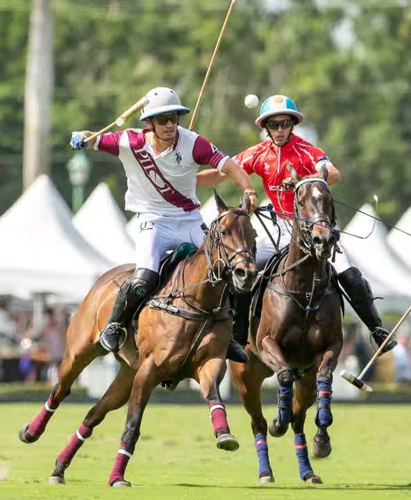 poloking