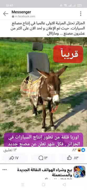 daoudifood304