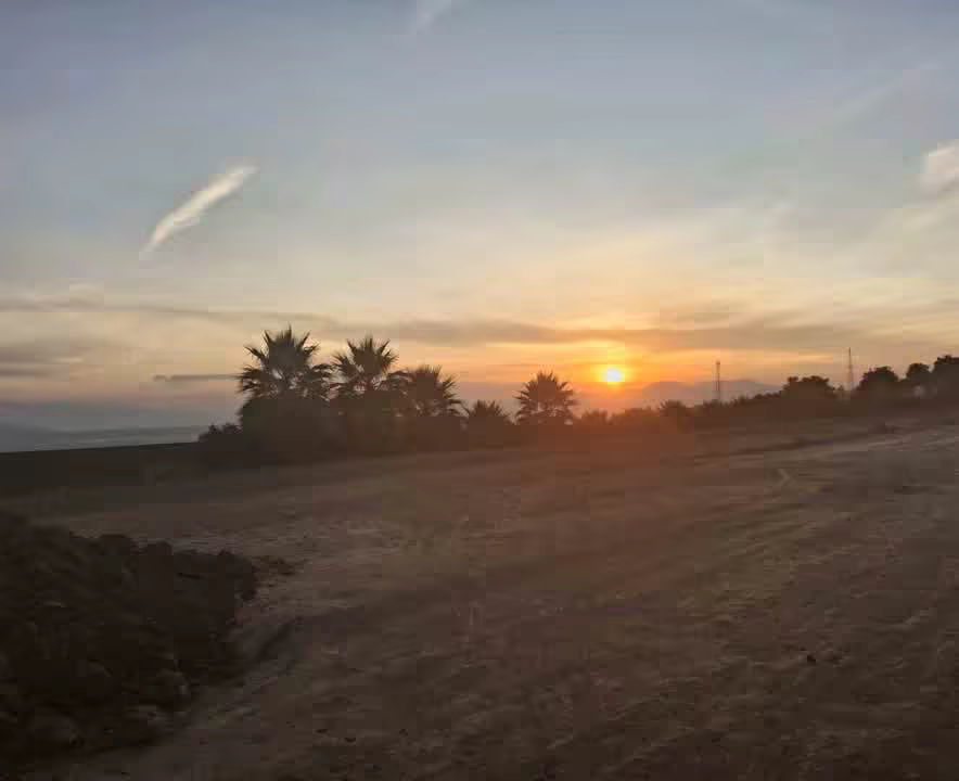 mubarekmuzayen058