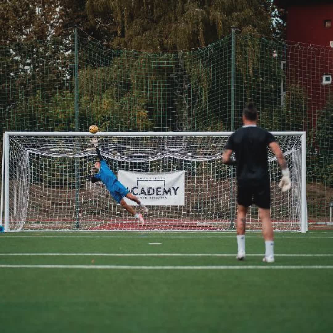 Post by Asmir Begovic Goalkeeper Academy: ✈️ @davudkuldija859 #football #fyp #buzzer