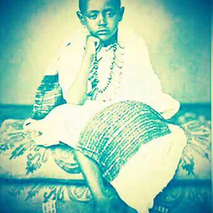 zeminas