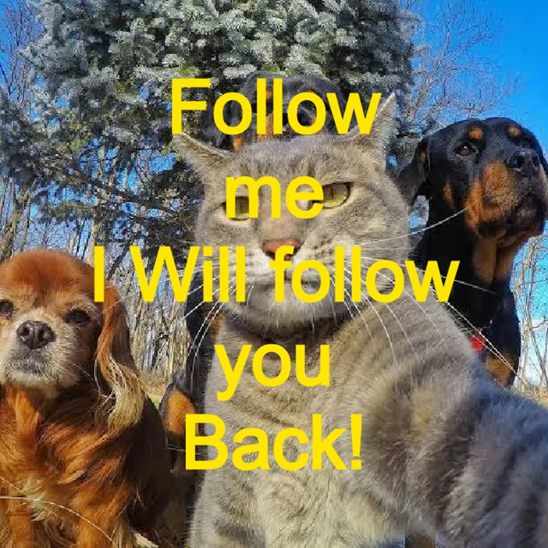 Post by GASHE Tesfaye: Follow me! #buzzer #viral #fyp #Daily #buzzer_fan_official #funnest