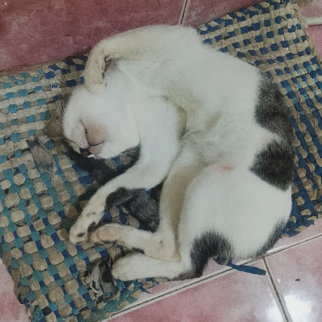 Post by Jean Ivy: Sarap Ng tulog Ay 😅 #buzzer #Daily #fyp #viral #trending #foryou #buzzerapp