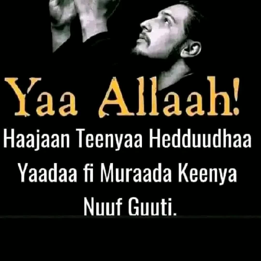 Post by Ahamad Roba: AMIIN AMIIN AMIIN AMIIN AMIIN @wasanuhailu51 @melke12 @kebedemebrate @atedi @binimanutd @airdropspeed777 @maammeehd...