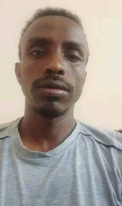 biremesh