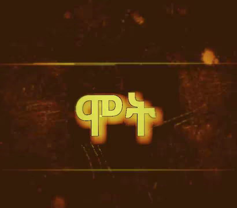 shinegogoga