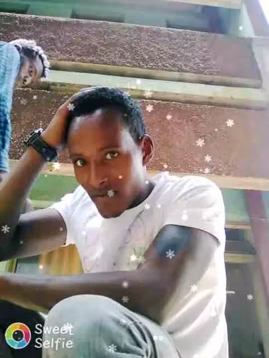taaree
