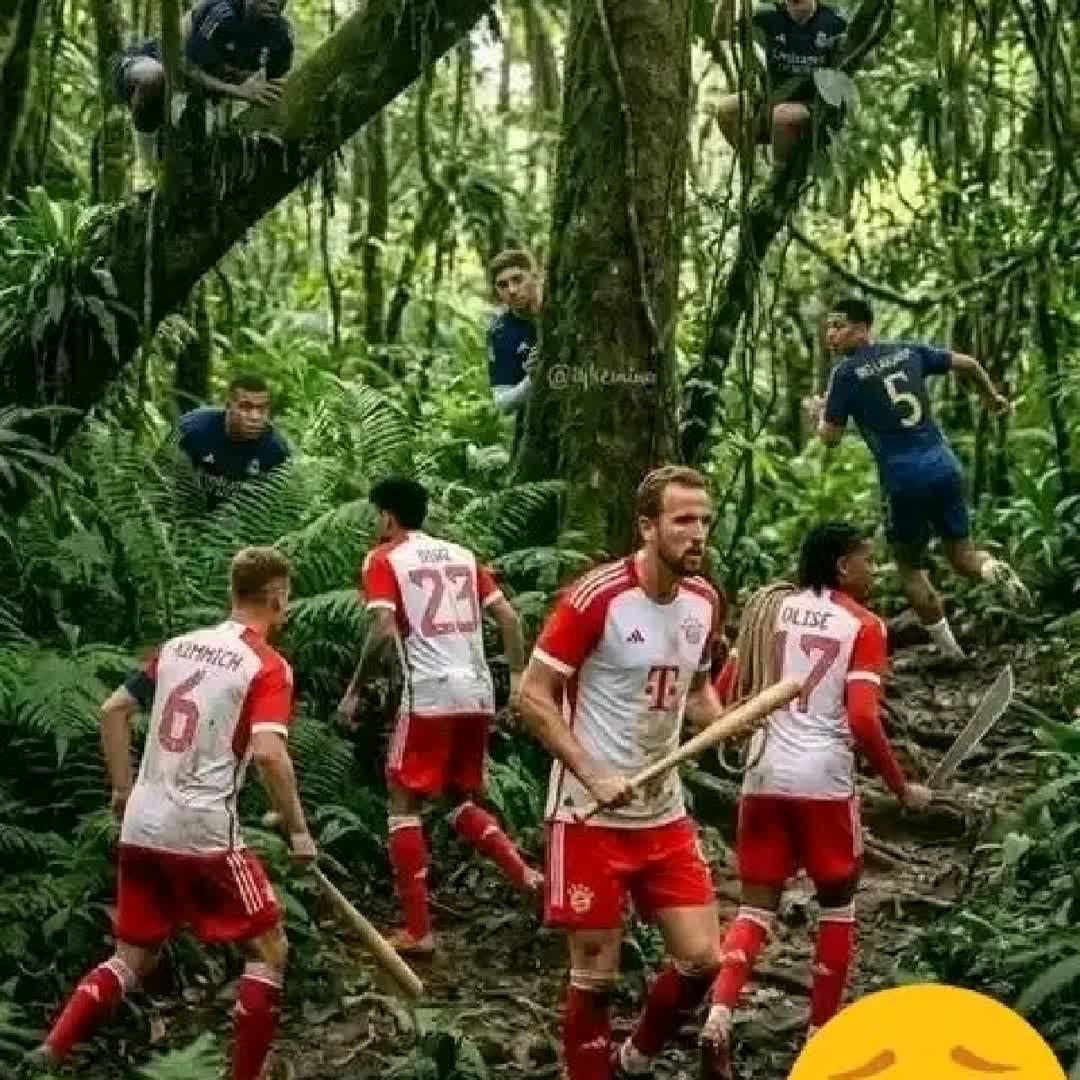 Post by Football Lord: Munich vs madrid in jungle fight