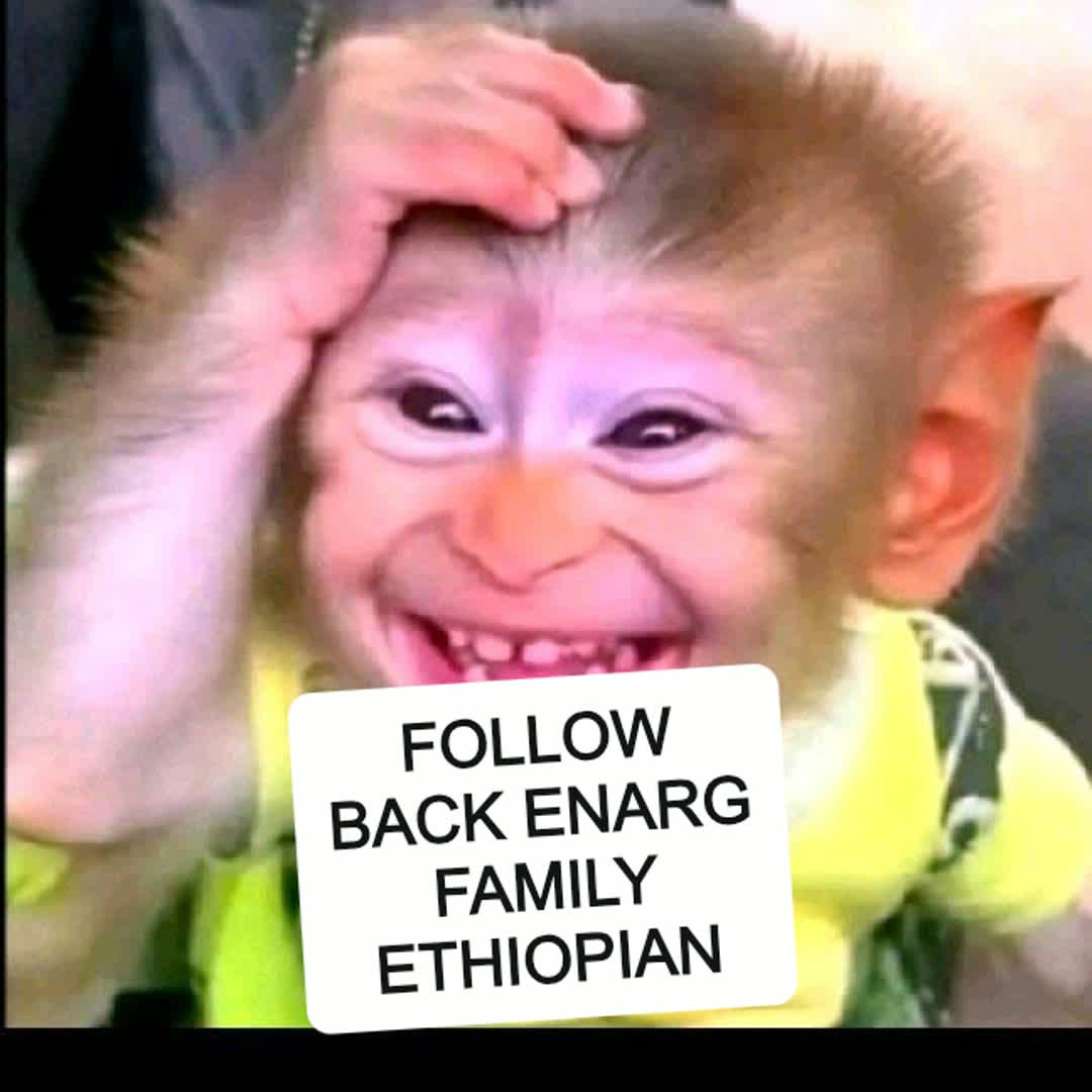 Post by SAMI TIP: ሁላችንም ፎሎ እንደራረግ የፈጠነ @kede0954gmail.com @haman @zeriras341 @blockme @nibras @natnaelsimework57 @abdukasa67 @theblue...