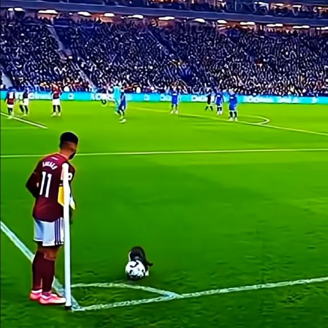 Post by Obsa Abrahim Mohammed: Who remembers the day the duck entered the football field? @buzzeradmin @devkedir @jeylan @dinu07877 @melke12...