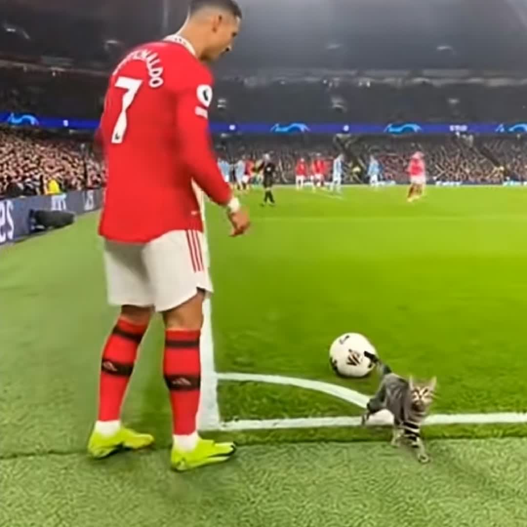 Post by Obsa Abrahim Mohammed: please people who love this footballer? @misman @eddyswaelee @tareman2 @addismulatu76 @habeha12 @goalpulse @nahomfx...