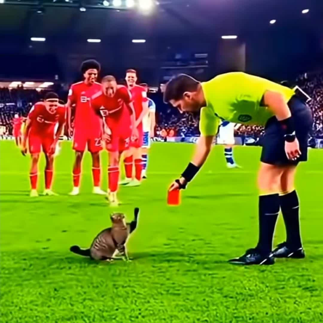 Post by Obsa Abrahim Mohammed: who is this football player who gave the fox a red card? @ephrataalemayehu120 @sule49 @adillivefans @i.stimac...