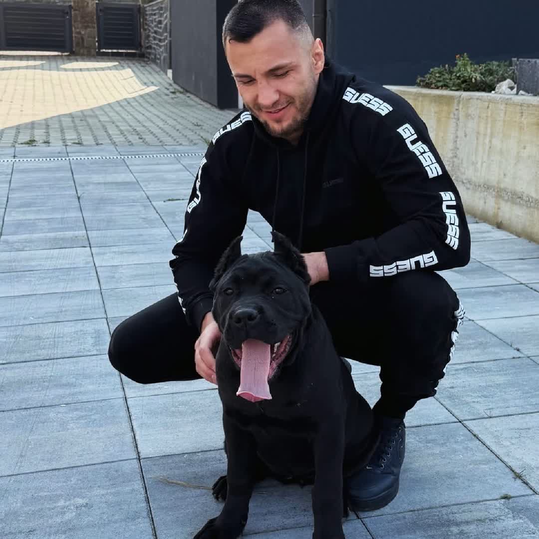 Post by Edin Avdic: #home #viral #buzzer #Daily #buzzer_fan_official #trending #foryou #buzzerapp #follow #canecorso