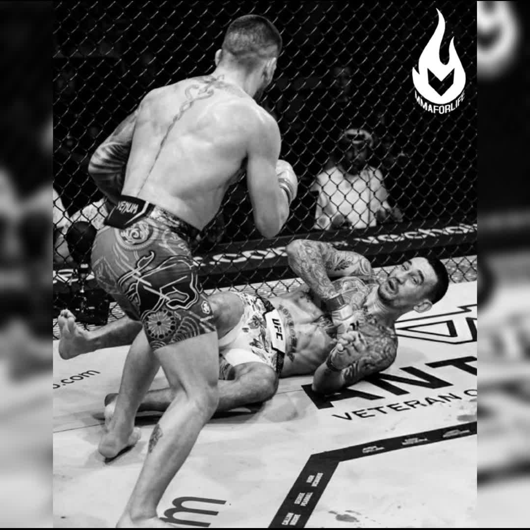 Post by KHALID NAJIB: #buzzer #viral #fyp #sports #Daily #football #buzzer_fan_official #soccer #trending #Game #foryou #basketball...