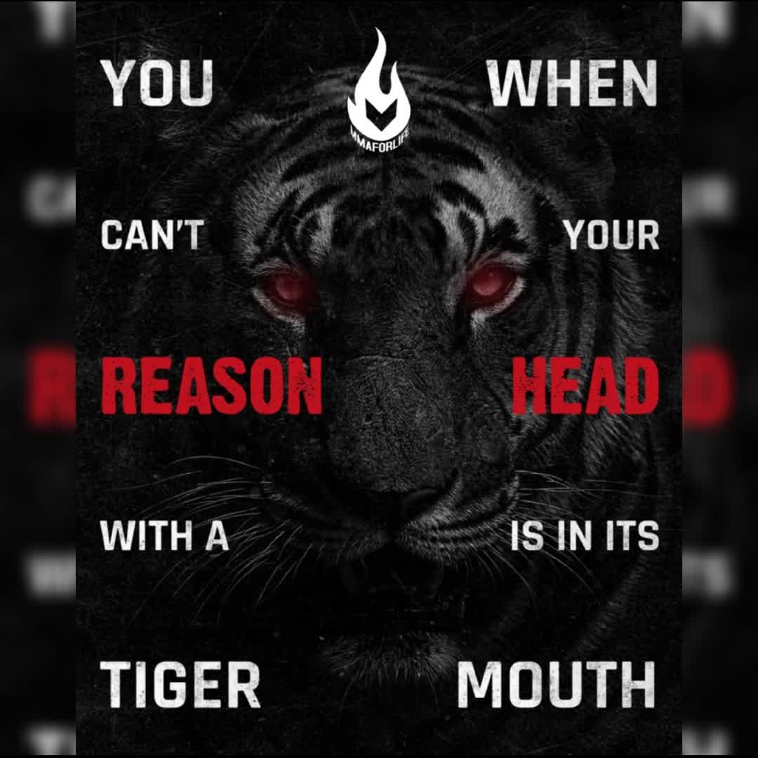 Post by KHALID NAJIB: #buzzer #viral #fyp #sports #Daily #football #buzzer_fan_official #soccer #trending #Game #foryou #basketball...
