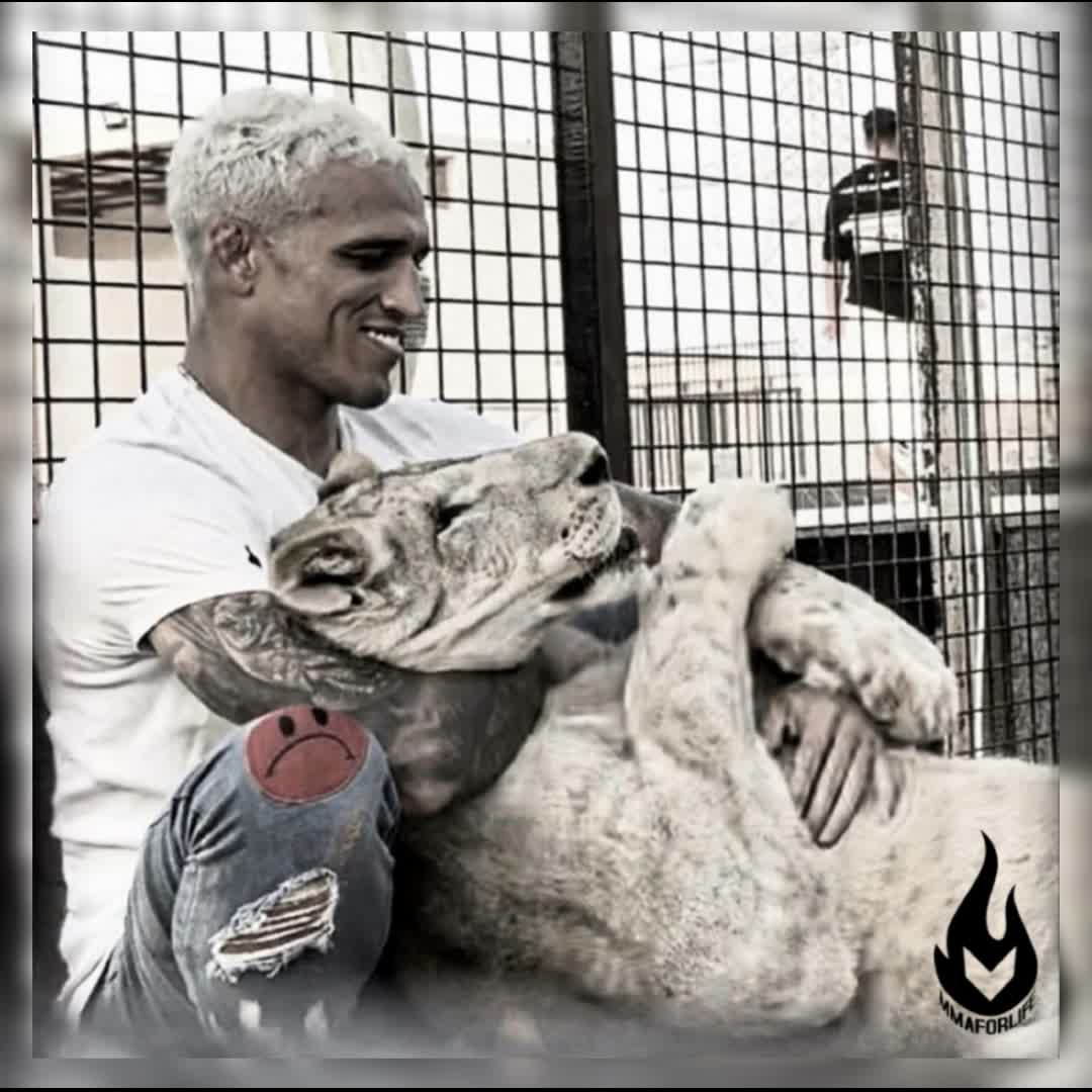 Post by KHALID NAJIB: #MMA #mmaforlife #mmafights #MMAhighlights #MMAFighter #iamdevilmma #ufc #UFCHighlights #ufcedit #buzzer #viral #fyp...