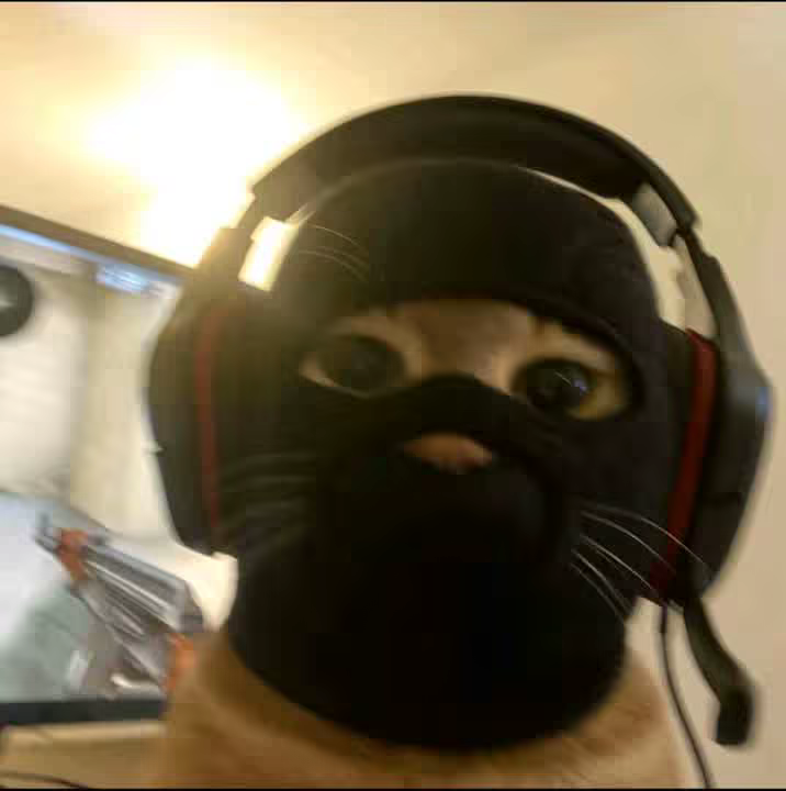 princewillz