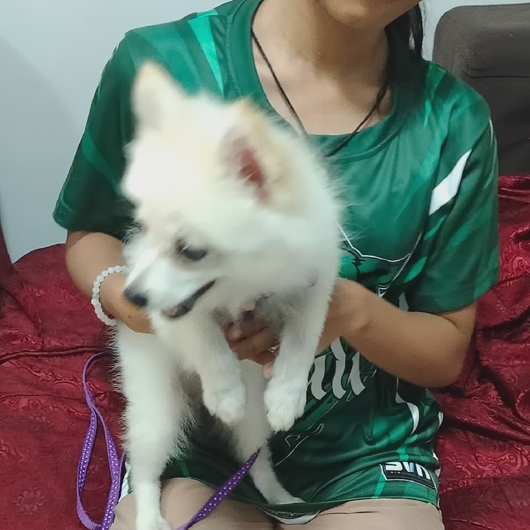 Post by Mar Joseph Malabag: Dog lover