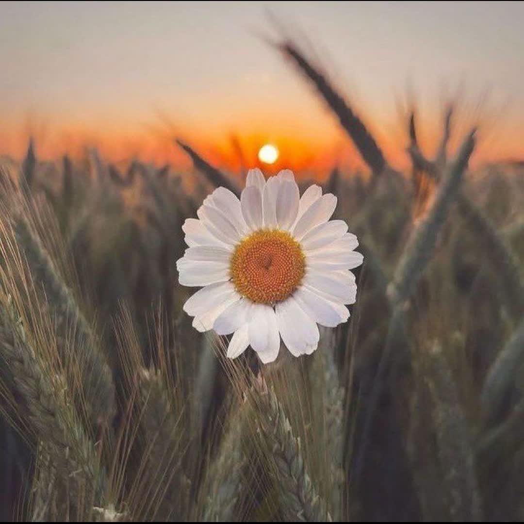 Post by Oliko G: Be hopeful...