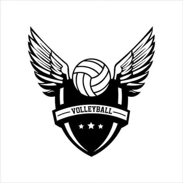 volleyball_highlights