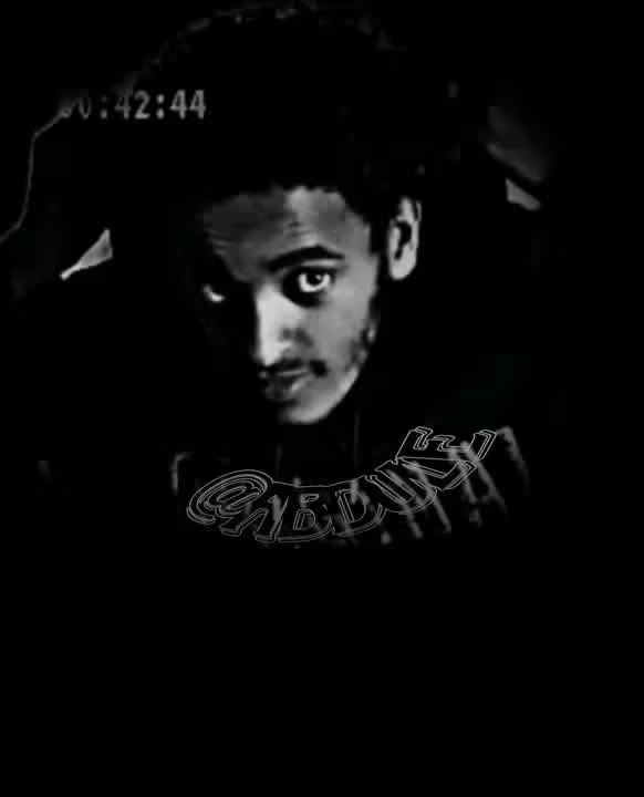 abdule10