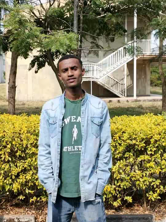 mesaybogale7