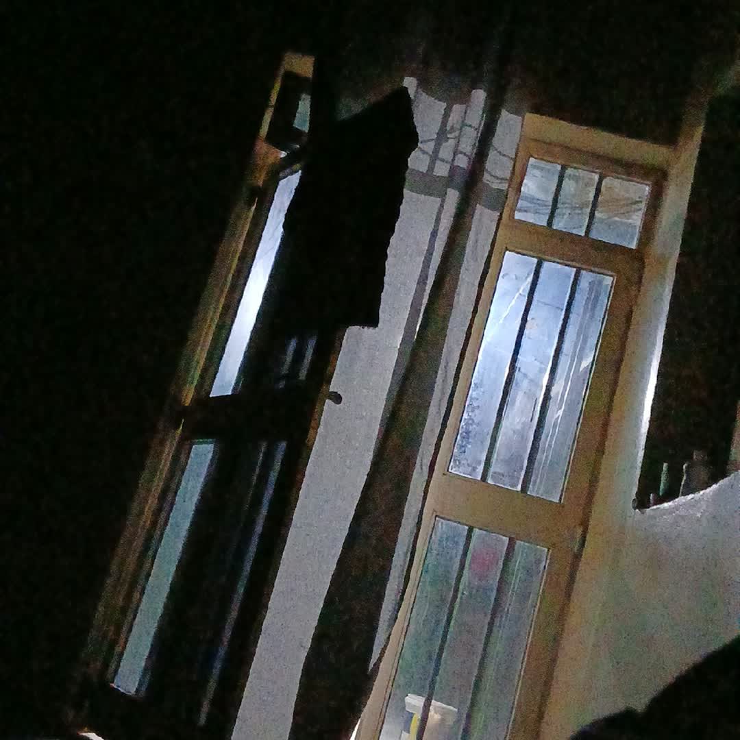 Post by Dina Abdallah Mohammed: #viral #buzzer