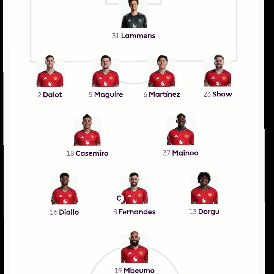 Post by Premier League News: Man united line up to day