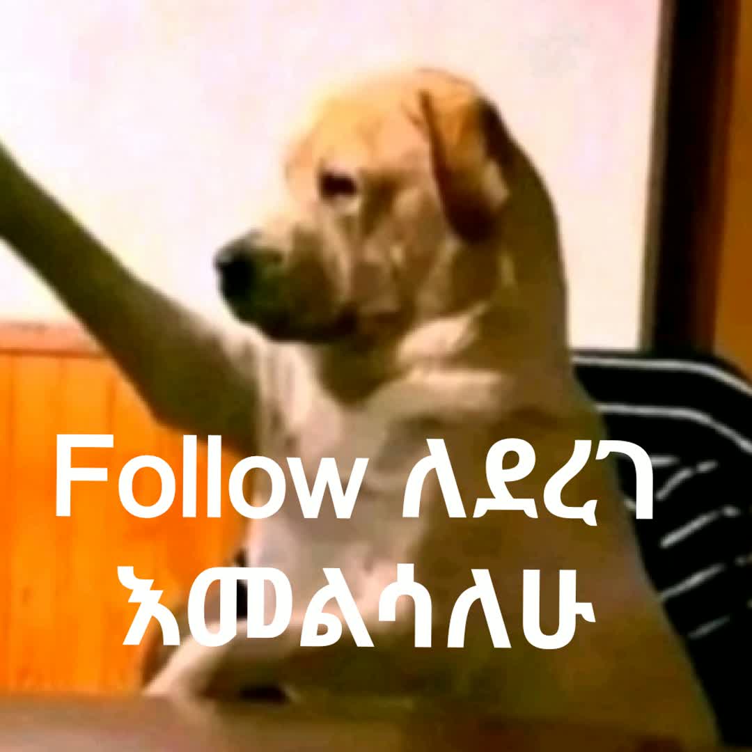 Post by MR.B GOAT BIG FAN