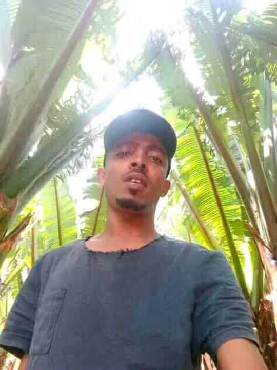 nebazgreat