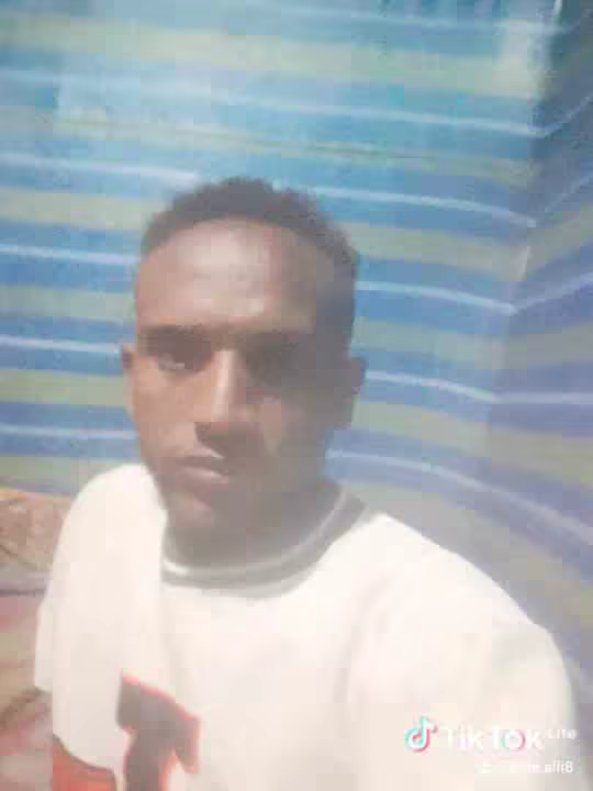 dinealii07