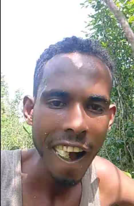 gamtan