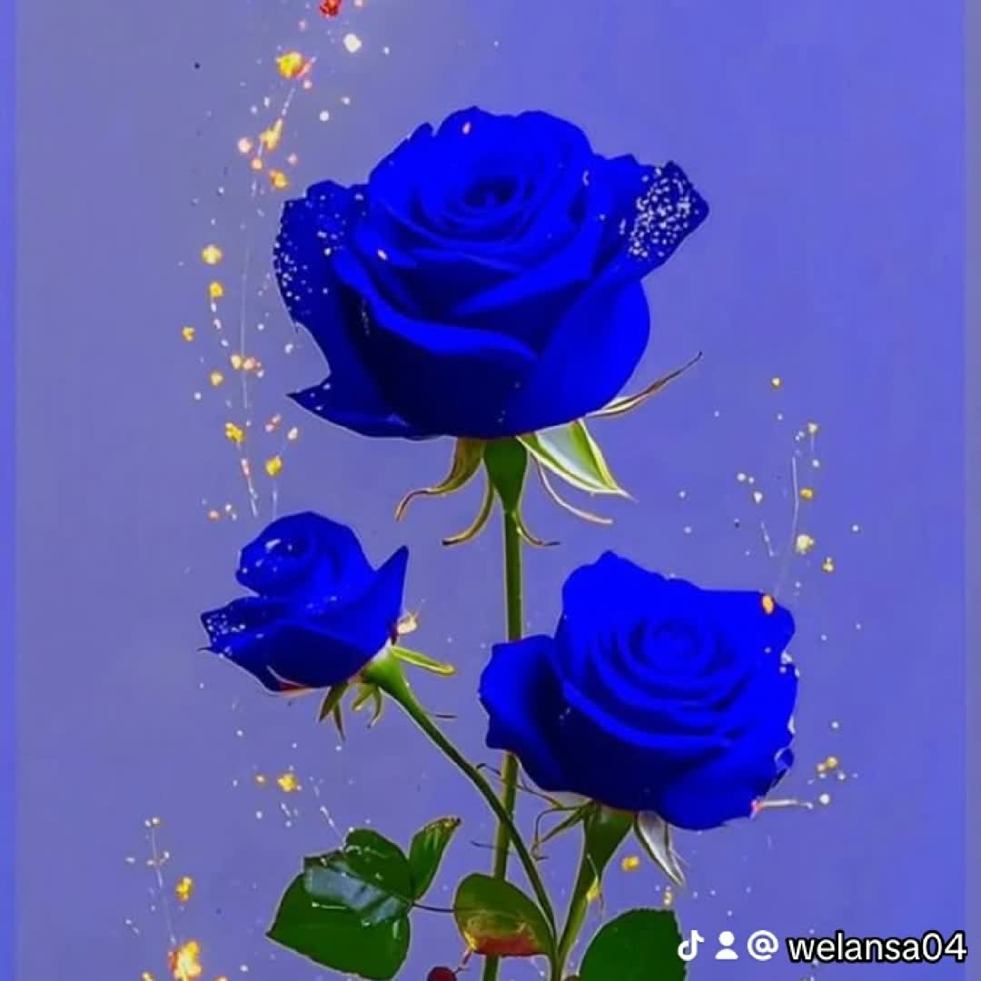 Post by Yiheyse Kassaye: @torioruth110 @marlaw4christ @workudawit51 @surafeltigabu299 @franckie @brown77 @dz.sport..1 @footboxfans...