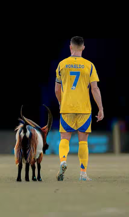 ky7