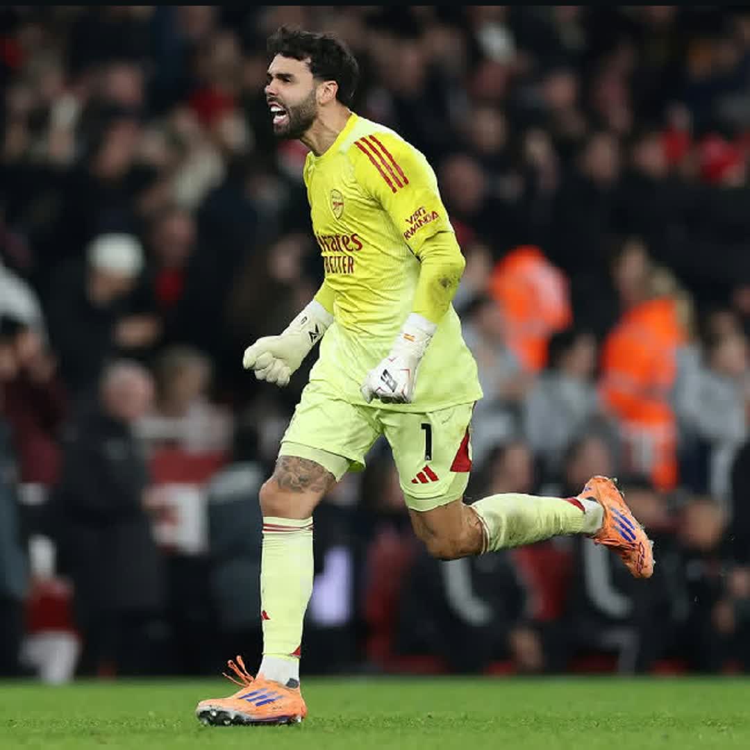 Post by THE GUNNER'S: David raya best goalkeeper in the premier league #Daily #buzzer #viral #fyp #football #trending