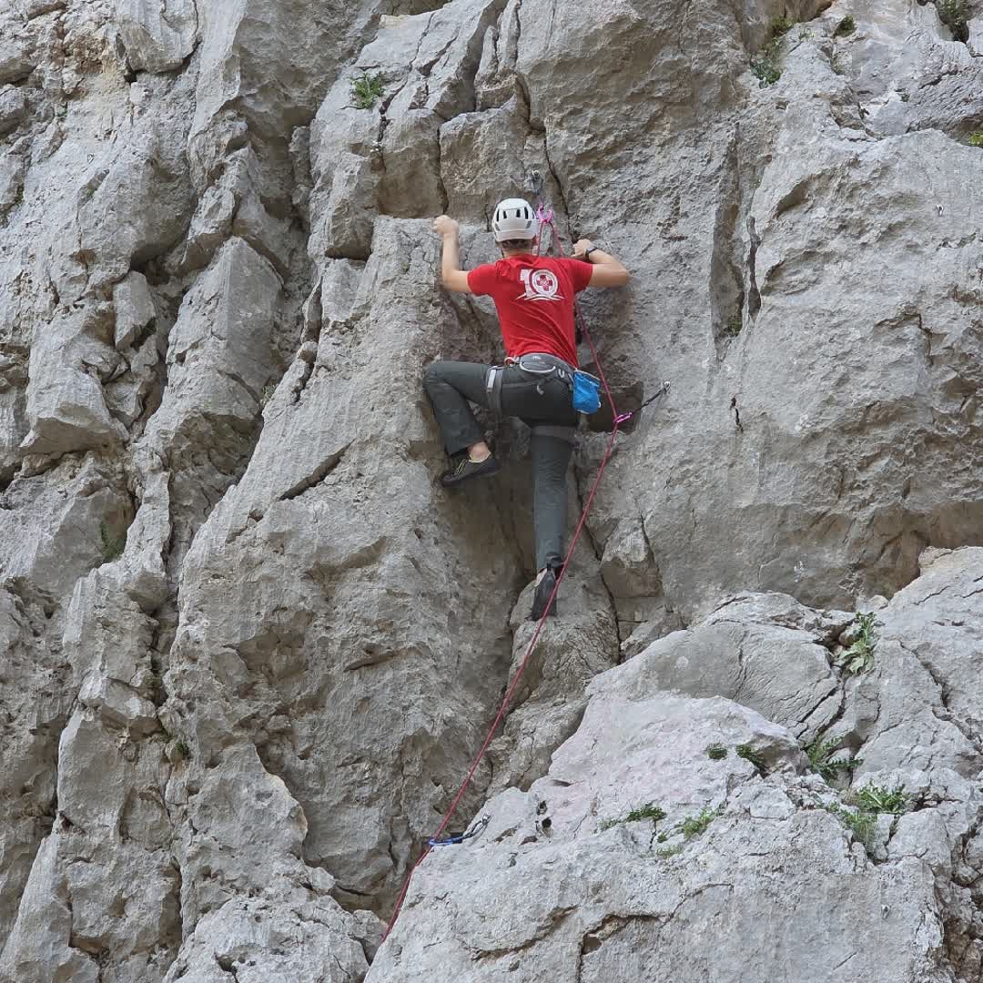 Post by Krešo Novak