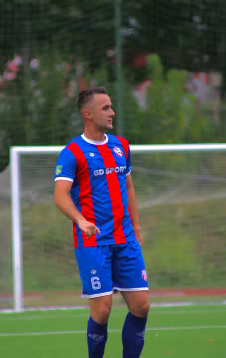 cosicdzenan6