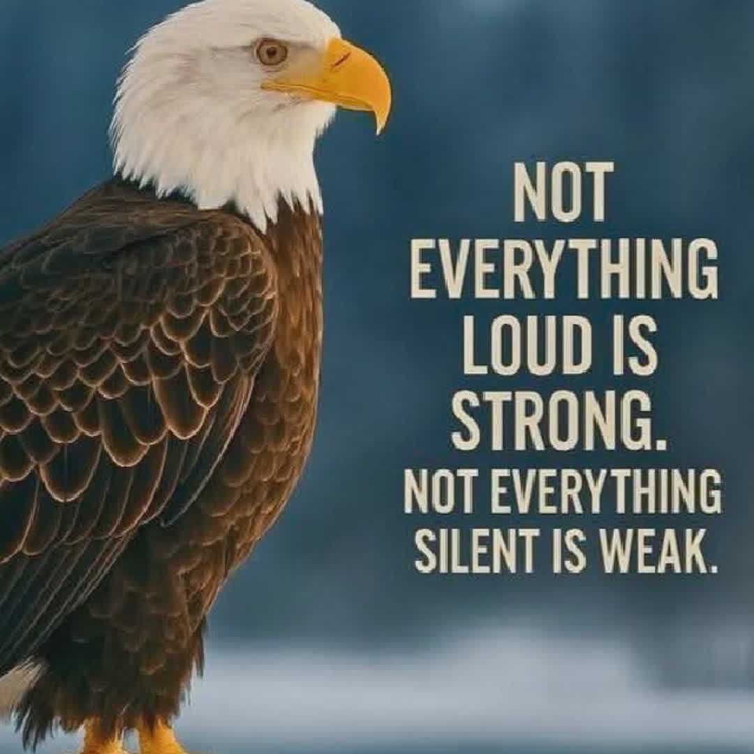 Post by Oluwatosin idowu: @daisyfacunla13 @hotbancsports @robinosjrv @hamed10 @esmailbell5 @vidiprasetyo @khabib_nurmagomedov @rahmahfah05...
