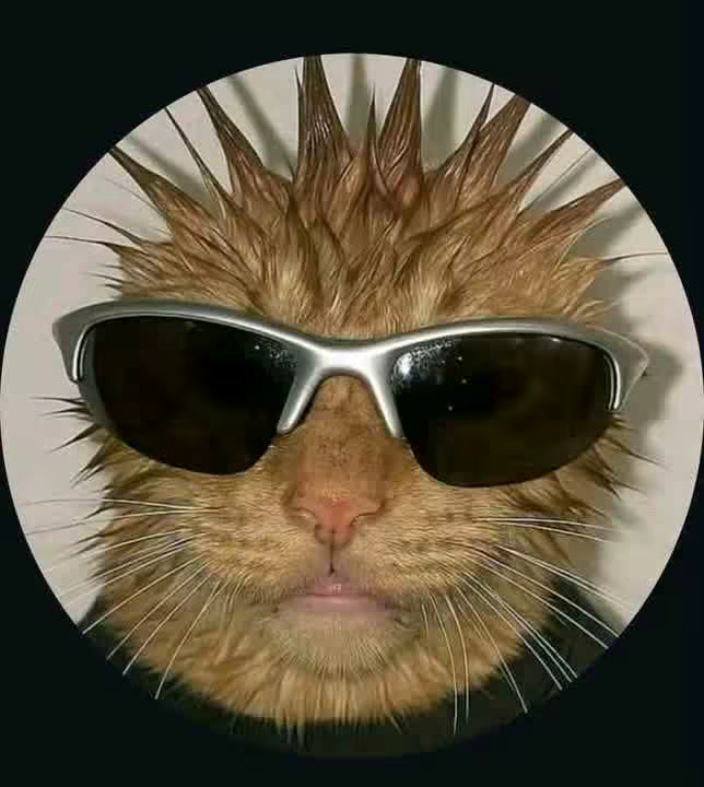 ermiyashabta89