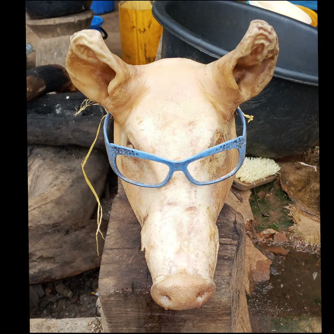 Post by Gideon Alade: I saw this on my way home and I decided to stop and take a look. You can also look once. @yash2221 @abuifraz70...