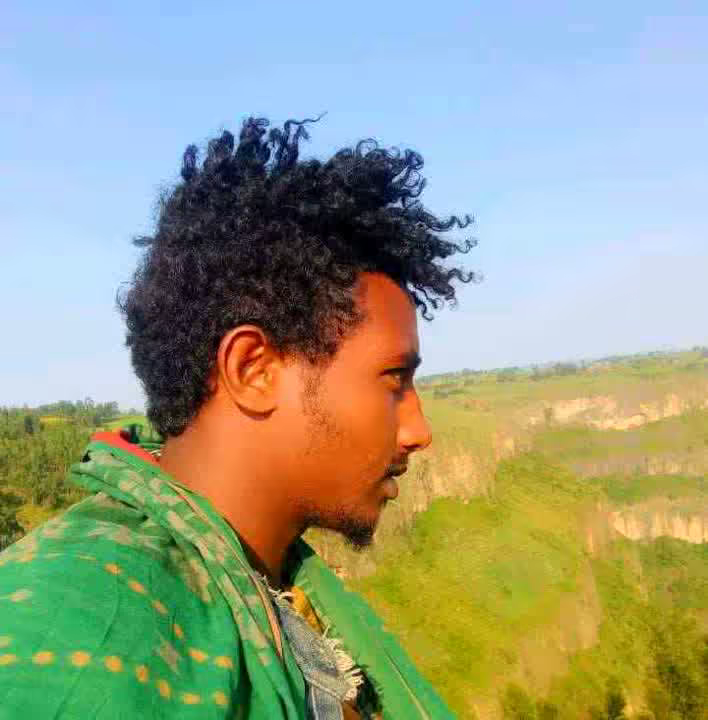 yitse219