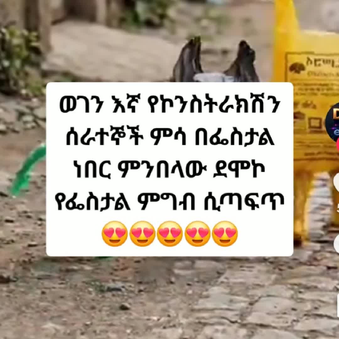 Post by Alem tibebu: @bilo21 @belachewzelalem #buzzer #fyp #viral #buzzer_fan_official