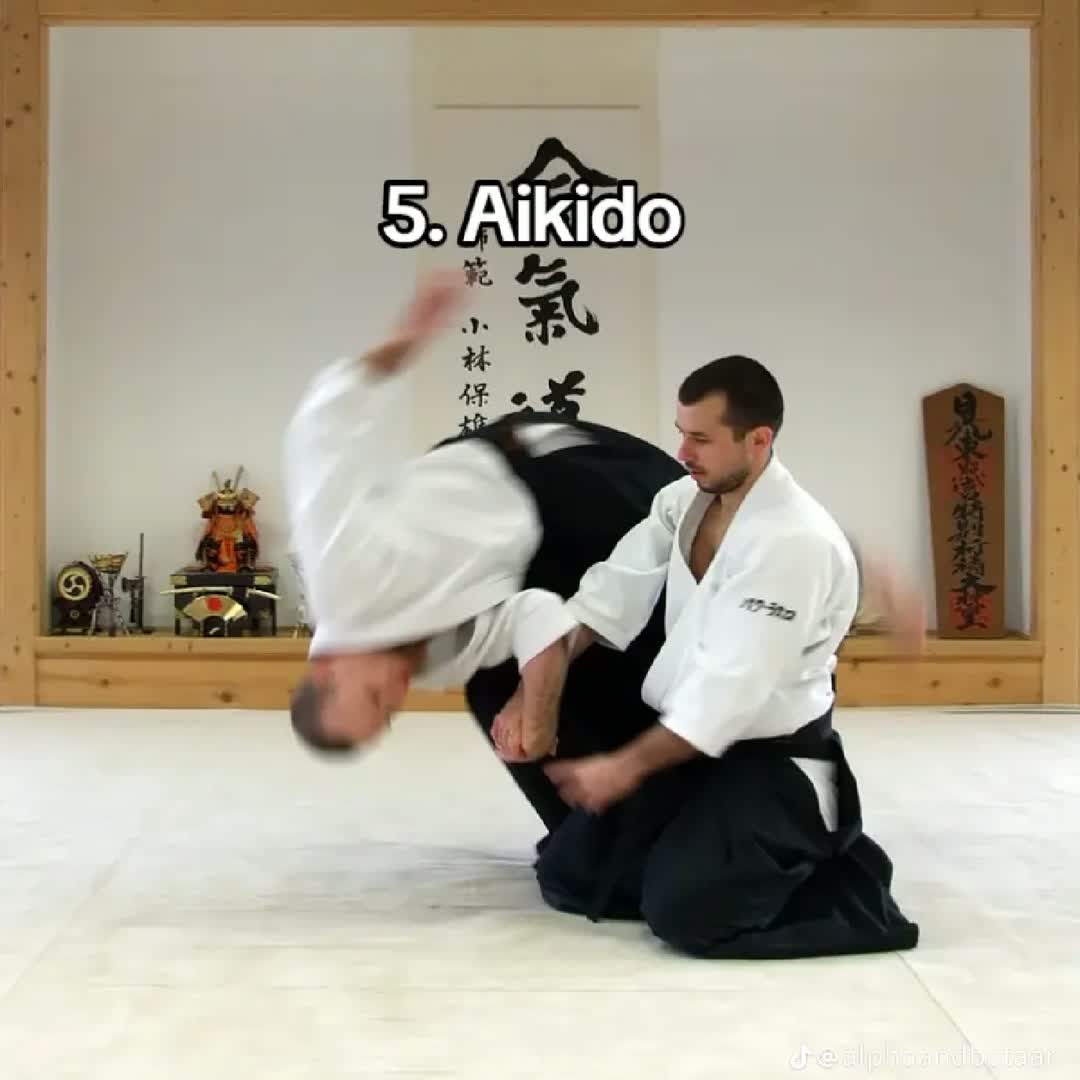 Post by Ahmed Moha: Fighting sport type AIKIDO